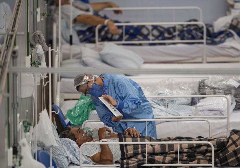 Kasus Baru Ditemukan Di Afrika Yaitu Demam Babi Dan Dapat Menyebabkan Kematian 